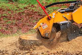 Best Tree Cabling and Bracing  in Homewood, AL