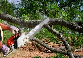 Lawn Grading and Leveling in Homewood, AL